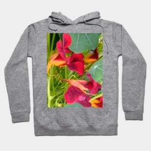 Red Nasturtium Hoodie